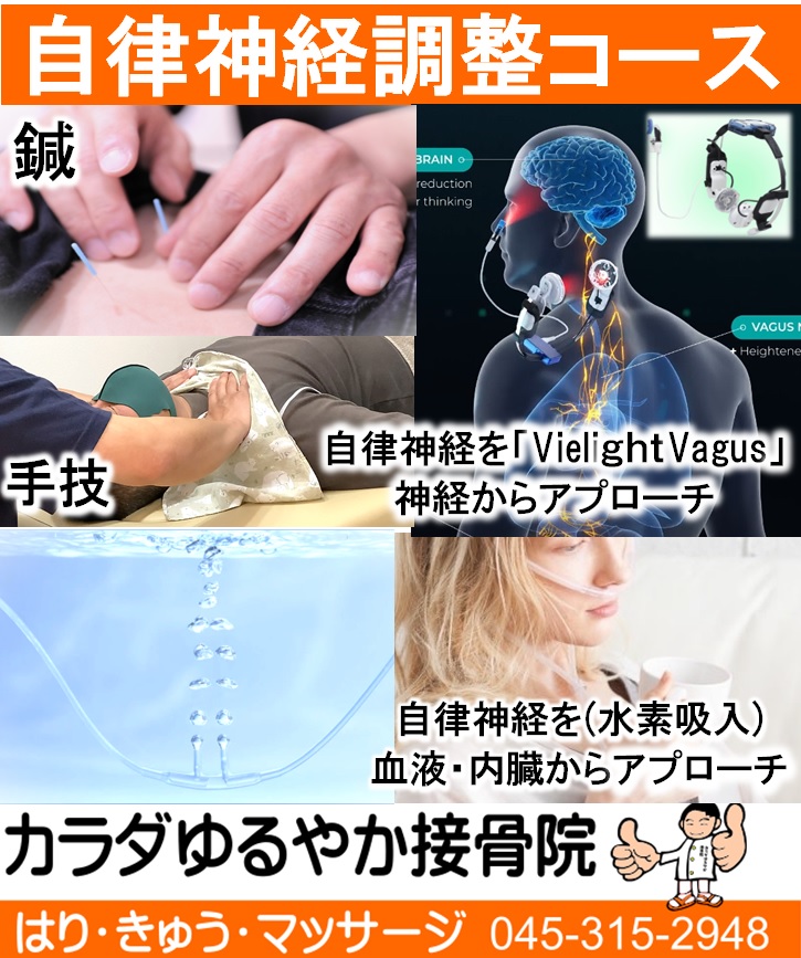 水素吸入器
ドクターメドマー
ハイボルテージ
超音波
干渉波治療器
低周波
高周波
鍼灸
施術